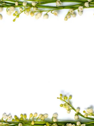 Весенняя рамка