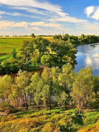 Заказник лесостепной Омская область