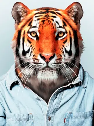 Зоопортреты Yago partal